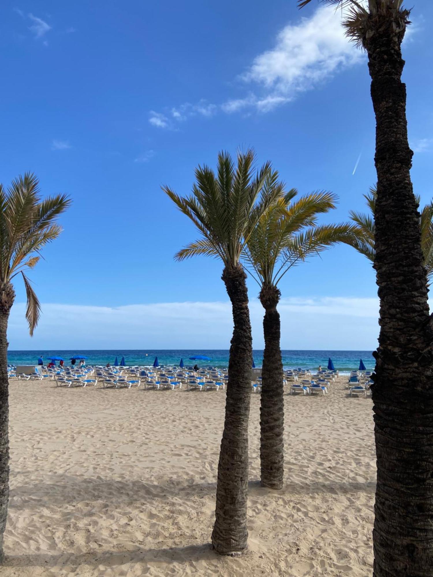 Levante Carlos V 1B Benidorm Eksteriør billede